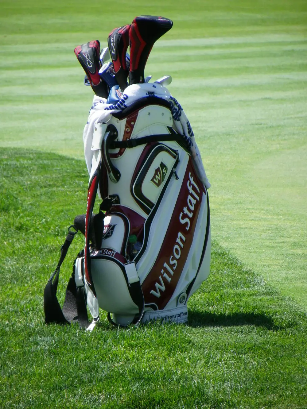an in-depth review of the best Wilson golf bags of 2018.