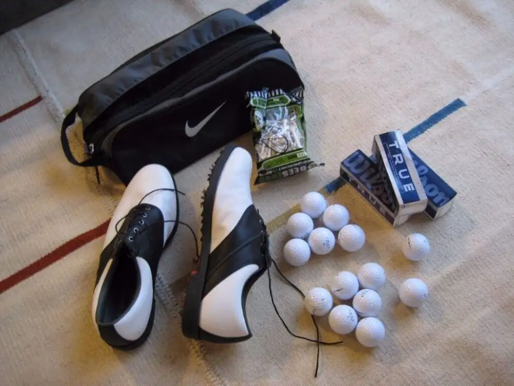 best golf shoe bag 219
