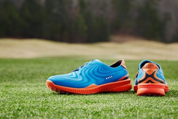 an in-depth review of the best ECCO golf shoes of 2018.