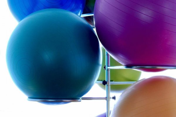 an in-depth review of the best Exercise balls of 2018.