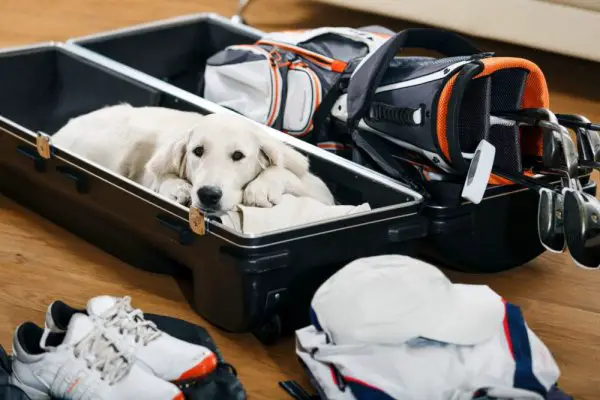 an in-depth review of the best golf travel bags of 2018.