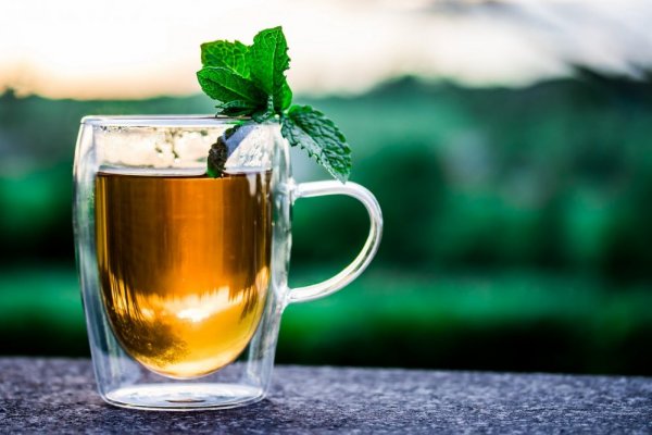 an in-depth review of the best green teas of 2018.