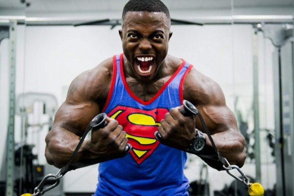 an in-depth review of the best weight gainers of 2018