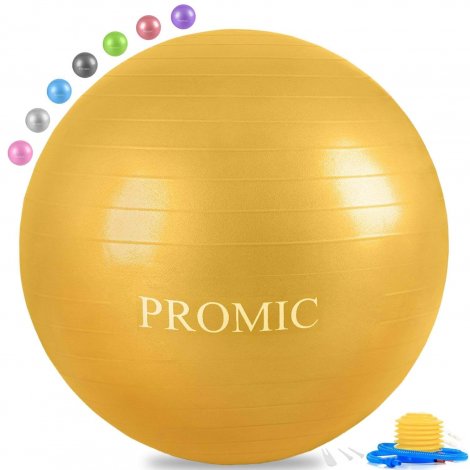 9. Promic